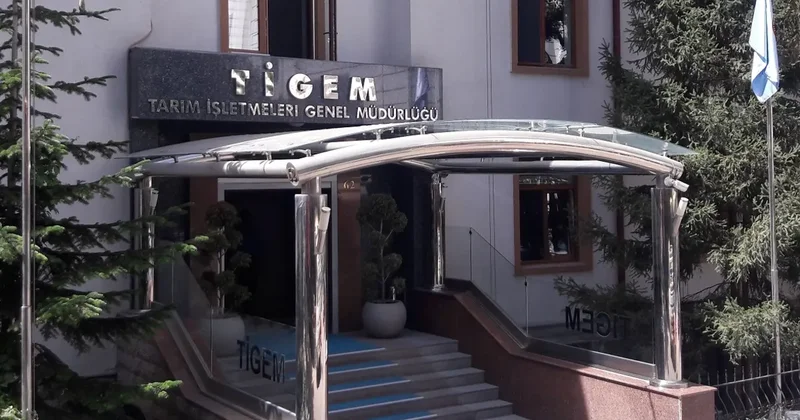 TİGEM den 252 milyon liralık buğday ve arpa ihalesi