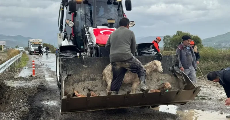 Muğla’da tüm kurumlar yağmur teyakkuzunda
