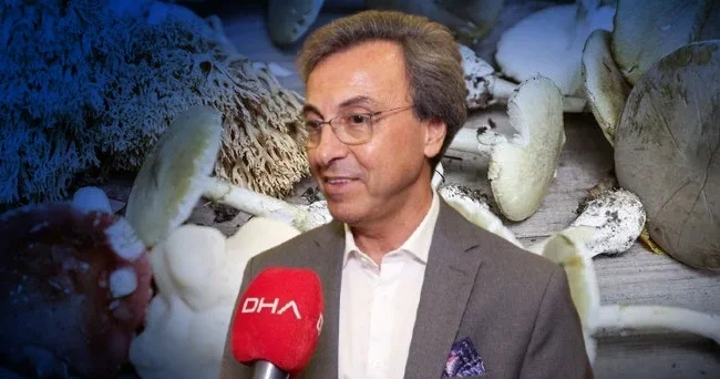 Sonbahar aylarında artış gösteriyor: Doğadan toplayanlar dikkat! Görünüşüne bakarak ayırt edemezsiniz