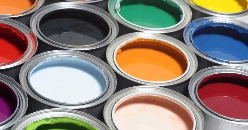 Doğadaki en nadir renk: Hiçbir hayvan ve bitkide bulunmuyor Sözcü Gazetesi