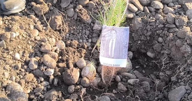 Öğretmenler, şehit ve depremde kaybedilen meslektaşları için fidan dikti Osmaniye Haberleri