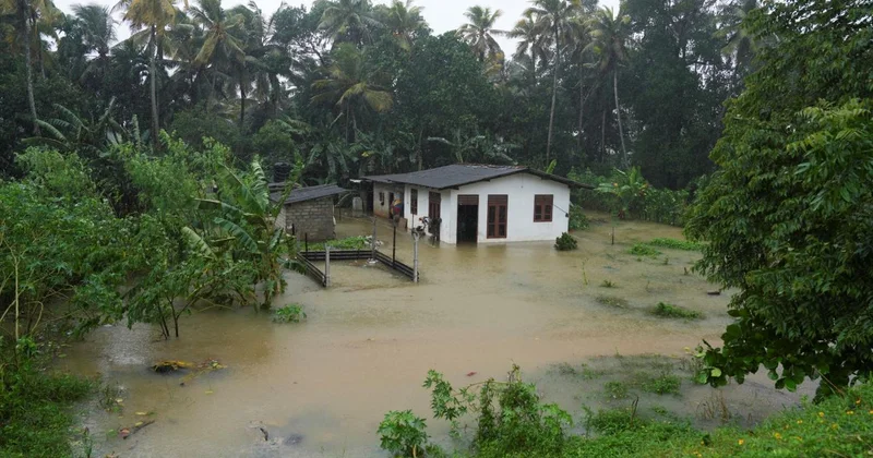 Sri Lanka daki afetlerde ölenlerin sayısı 56 ya çıktı