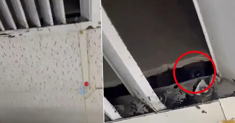 İstanbul da düğün salonunda gizli kamera skandalı: Kadın çalışanlar buldu Sözcü Gazetesi