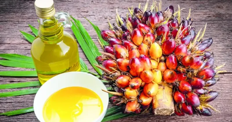 Palm yağı ile ikili ticareti artırmak istiyor Ekonomi Haberleri