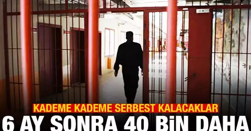 6 ay sonra bir af daha! Sayı 90 bine çıkabilir