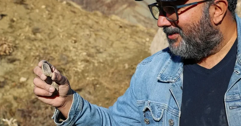 50 milyon yıllık oldukları değerlendiriliyor: Denizin bulunmadığı Bingöl de bulundu