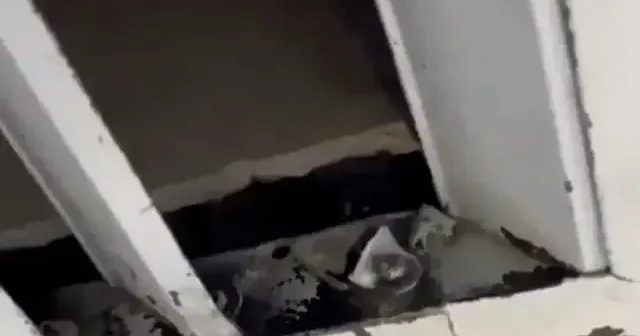 Sultangazi de düğün salonunun giyinme odasında gizli kamera skandalı: Salon sahibi gözaltında VİDEO İZLE