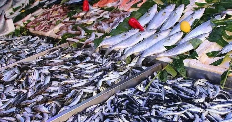 Ne mezgit ne istavrit ne de hamsi: Aralık ayının en sağlıklı balığı açıklandı Sözcü Gazetesi