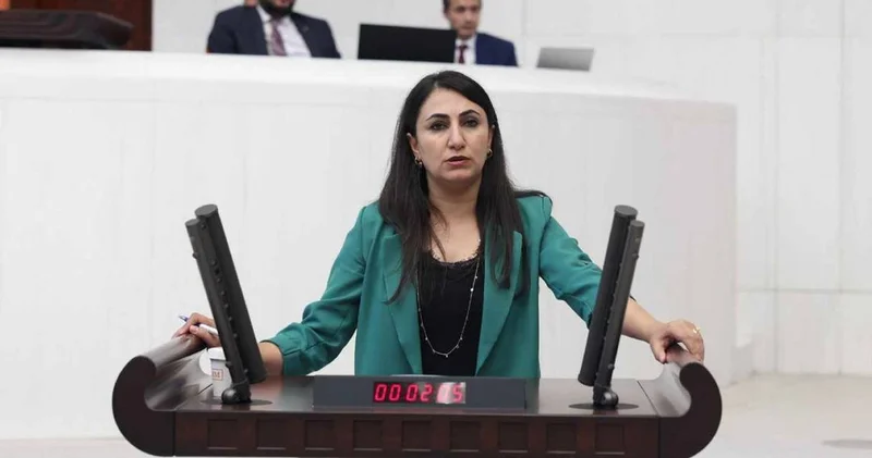 DEM Parti den kayyum tepkisi: Derhal son verilmelidir