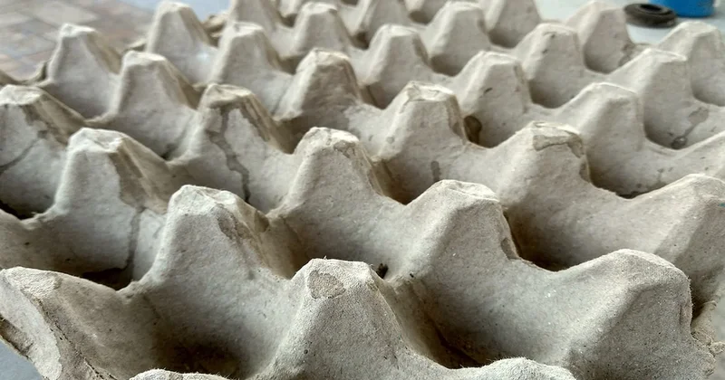 Yumurta kolileri evi sıcacık yapıyor Sözcü Gazetesi