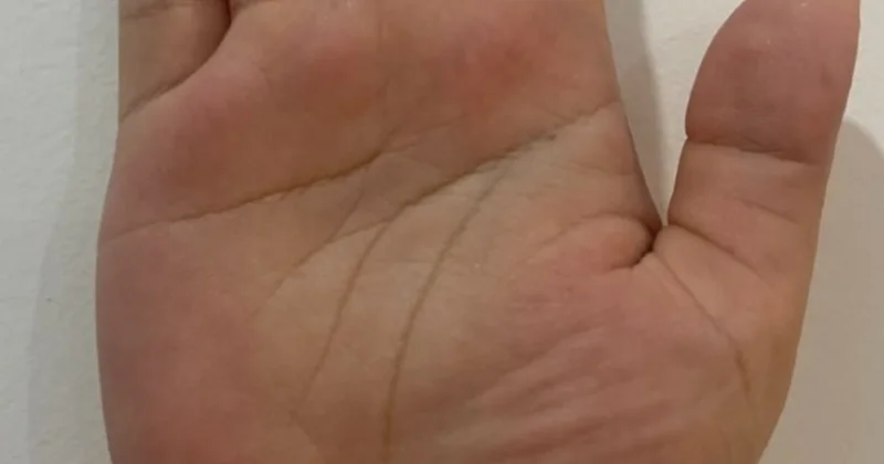 Zengin ve başarılı insanların ellerinde kolayca görülebilen 3 işaret Sözcü Gazetesi