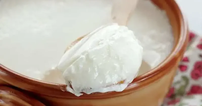 Yoğurt yapmak için en iyi süt meğerse buymuş: Lezzeti 10 kat artıyor