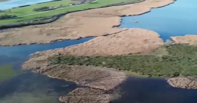 Samsun Kızılırmak Deltası sonbahar yağışlarıyla canlandı VİDEO İZLE