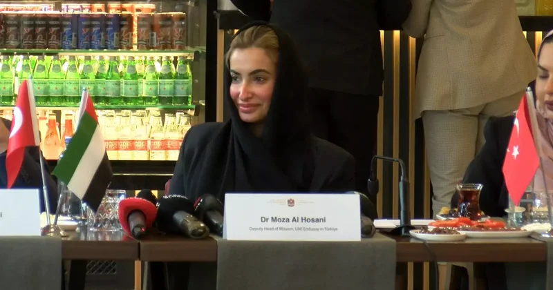 BAE kültürü, Ankara da tanıtılacak