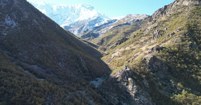 Şırnak ta 3 bin rakımlı karlı dağlar mest etti Şırnak Haberleri