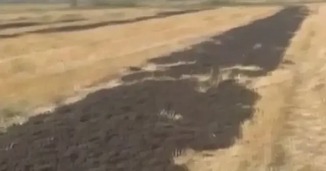 Boş araziye 26 kamyon arıtma çamuru döken firmaya bakanlıktan rekor ceza VİDEO İZLE