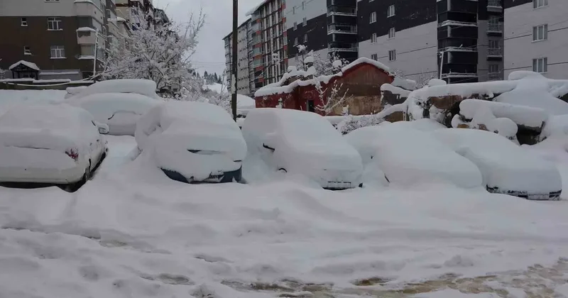 Bitlis’te arabalar ve tek katlı evler kara gömüldü