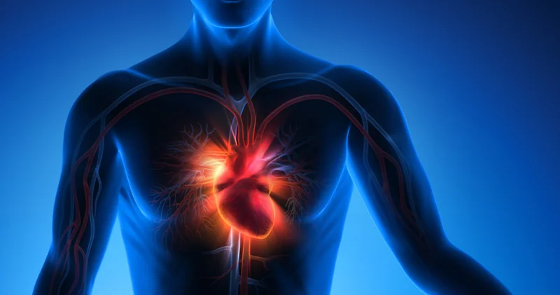 Düzenli kontrol kalp krizi riskini azaltıyor Sağlık Haberleri