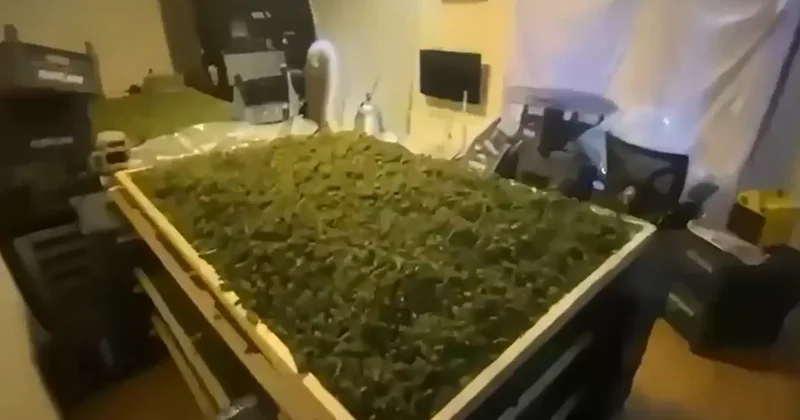 65 ilde uyuşturucu operasyonu: Bakan Yerlikaya paylaştı! 768 gözaltı