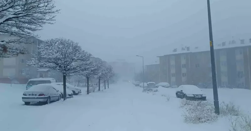 Van kar yağışı: 569 yol kapandı, uçak seferleri iptal edildi