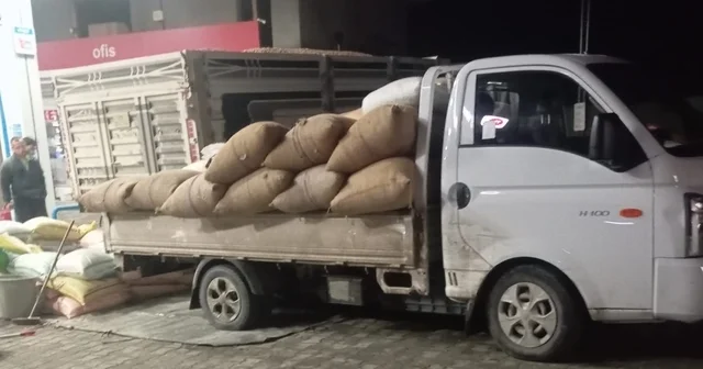 Yılbaşına günler kala fındık fiyatları yükselişe geçti Zonguldak Haberleri