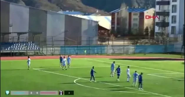 Sahaya giren köpek kalenin önünde uyudu!