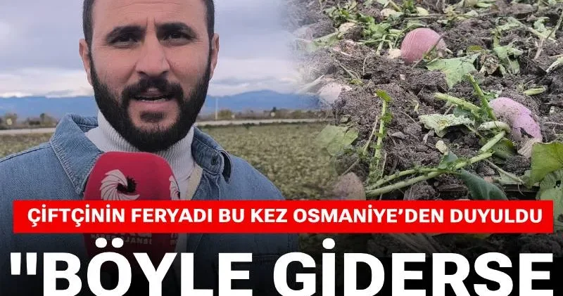 Çiftçinin feryadı bu kez Osmaniye’den duyuldu: Böyle giderse bizi toprağa gömerler