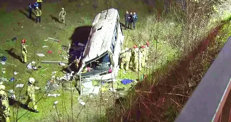 Pazar servisi şarampole uçtu Yerel Gündem Haberleri