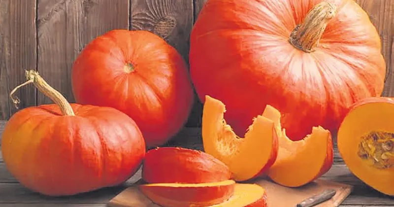 İDİL AÇIKALIN Bal kabağı mevsimi