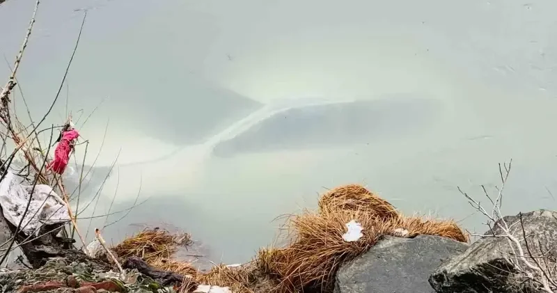 Şırnak ta dereye düşen pikaptaki 3 kişi yaralandı Şırnak Haberleri