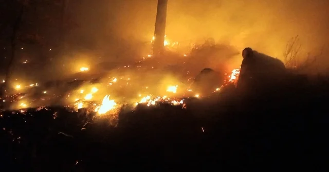 Bozyazı da çıkan orman yangını kontrol altına alındı Mersin Haberleri