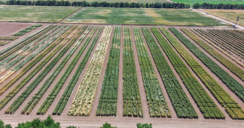 TİGEM işçi alımı yapacak! TİGEM 254 personel işçi alımı ne zaman, başvuru şartları neler, kadro dağılımı nasıl?