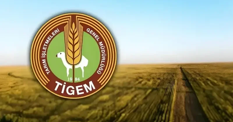 TİGEM 254 sürekli işçi alımı başlıyor: Başvuru tarihleri ve şartlar belli oldu Son Dakika Haberleri