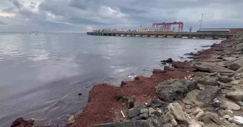 Tekirdağ’da kuvvetli rüzgar sahili kırmızı yosunla kapladı