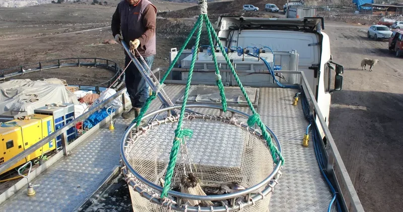 Bozkırın ortasında yetişti, Rusya ve Japonya yolcusu oldu