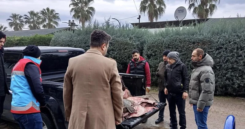 Sinop ta kaçak avlanan 625 kalkan balığı vatandaşlara dağıtıldı