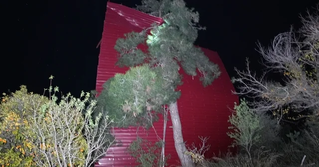 Mersin de şiddetli rüzgar çatıyı uçurdu, asırlık meşeyi devirdi Mersin Haberleri