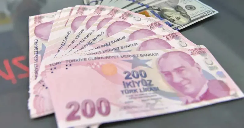 2026 da Türkiye ekonomisini neler bekliyor?