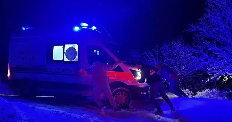 Hasta taşıyan ambulans yoldan çıktı; kamyonet sürücüsü kurtardı
