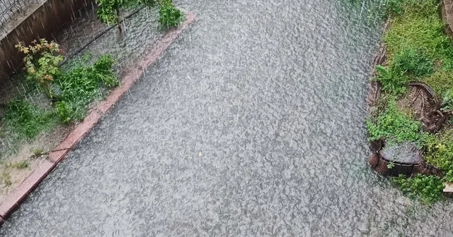 Adana da yağmur sele neden oldu Adana Haberleri