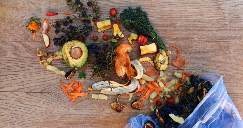 Milyonlarca kişi açlıkla mücadele ederken gıdaların üçte biri çöpe gidiyor