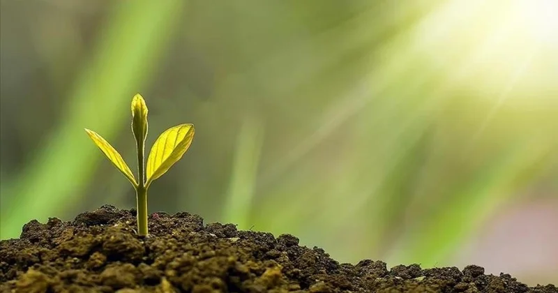 Türkiye nin küresel çevre hareketi: Sıfır Atık Projesi