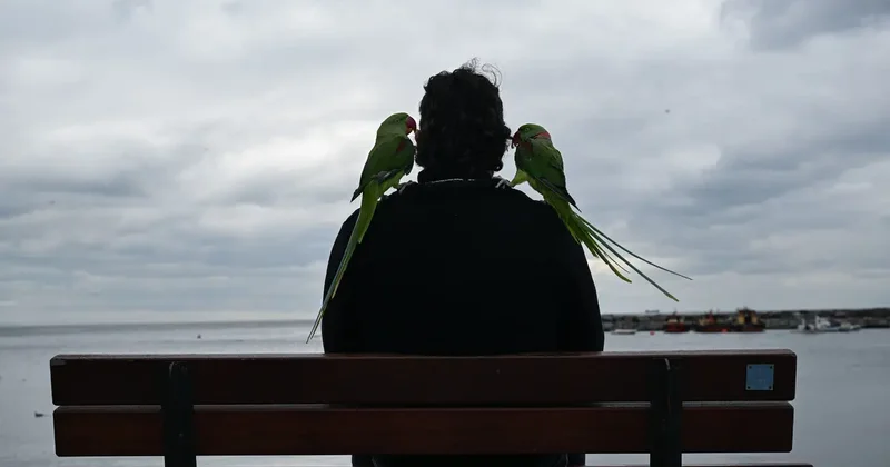 Dostlukları bir yıl önce başladı! Gözü gibi bakıyor, yanından hiç ayırmıyor