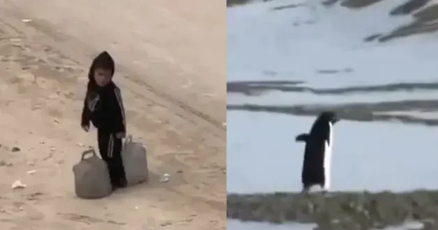 Gazze de çocuk olmak... Bir penguen kadar konuşulmayacak