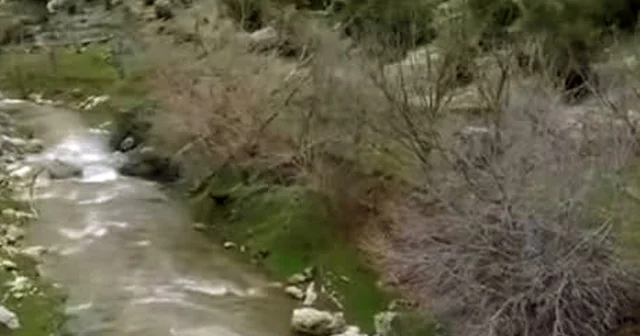 Araban da kuruyan Ardıl Çayı yıllar sonra yeniden akmaya başladı Gaziantep Haberleri