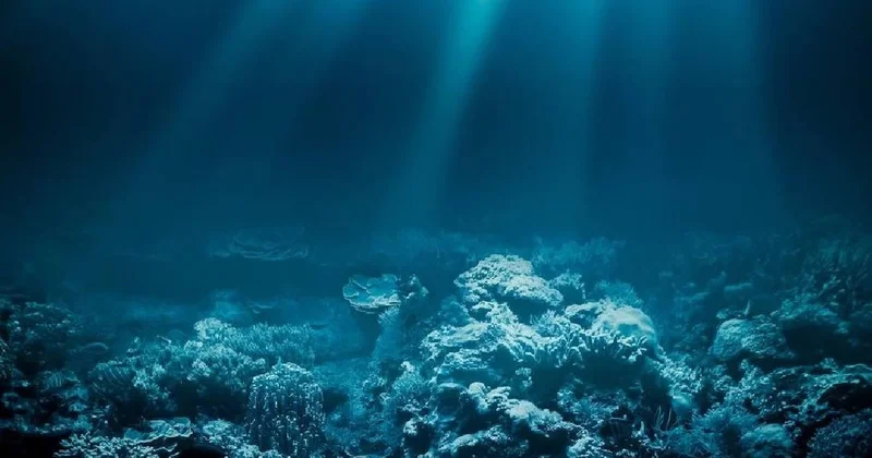 Okyanusun derinliklerinde şahin gözlü yaratık keşfedildi: Gözleri tüp gibi dönüyor Sözcü Gazetesi