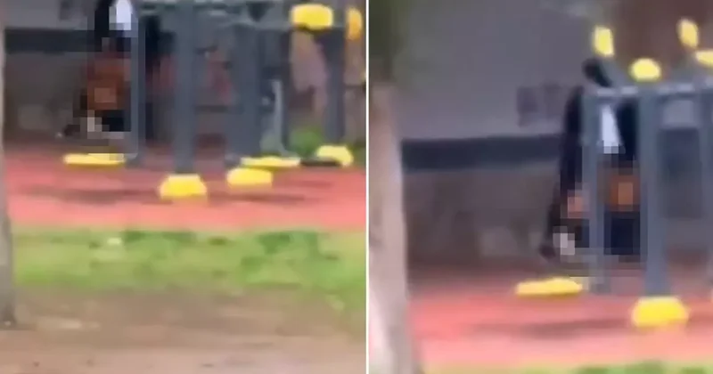 Parkta güpegündüz infial yaratan görüntü