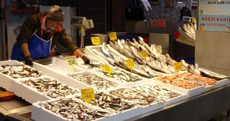 Hamsinin ömrü bitiyor