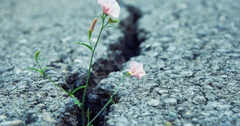 Ruhsal olarak dayanıklı insanlardan zor zamanlar için ilham alabiliriz