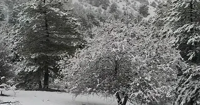 Beypazarı beyaza büründü VİDEO İZLE